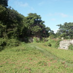 Die alte Zuckermühle auf Tobago