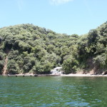 Bird-island Togago